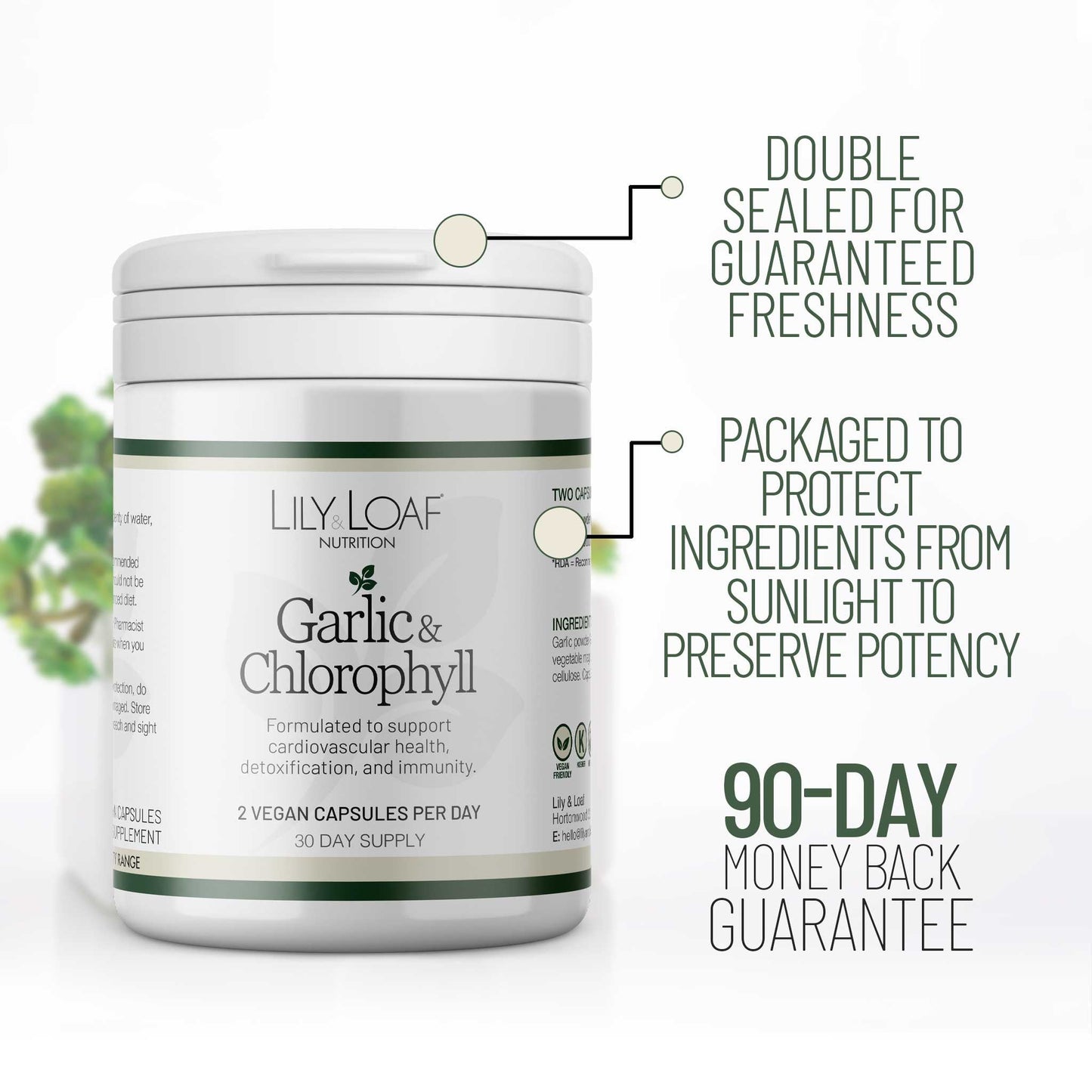 Garlic & Chlorophyll