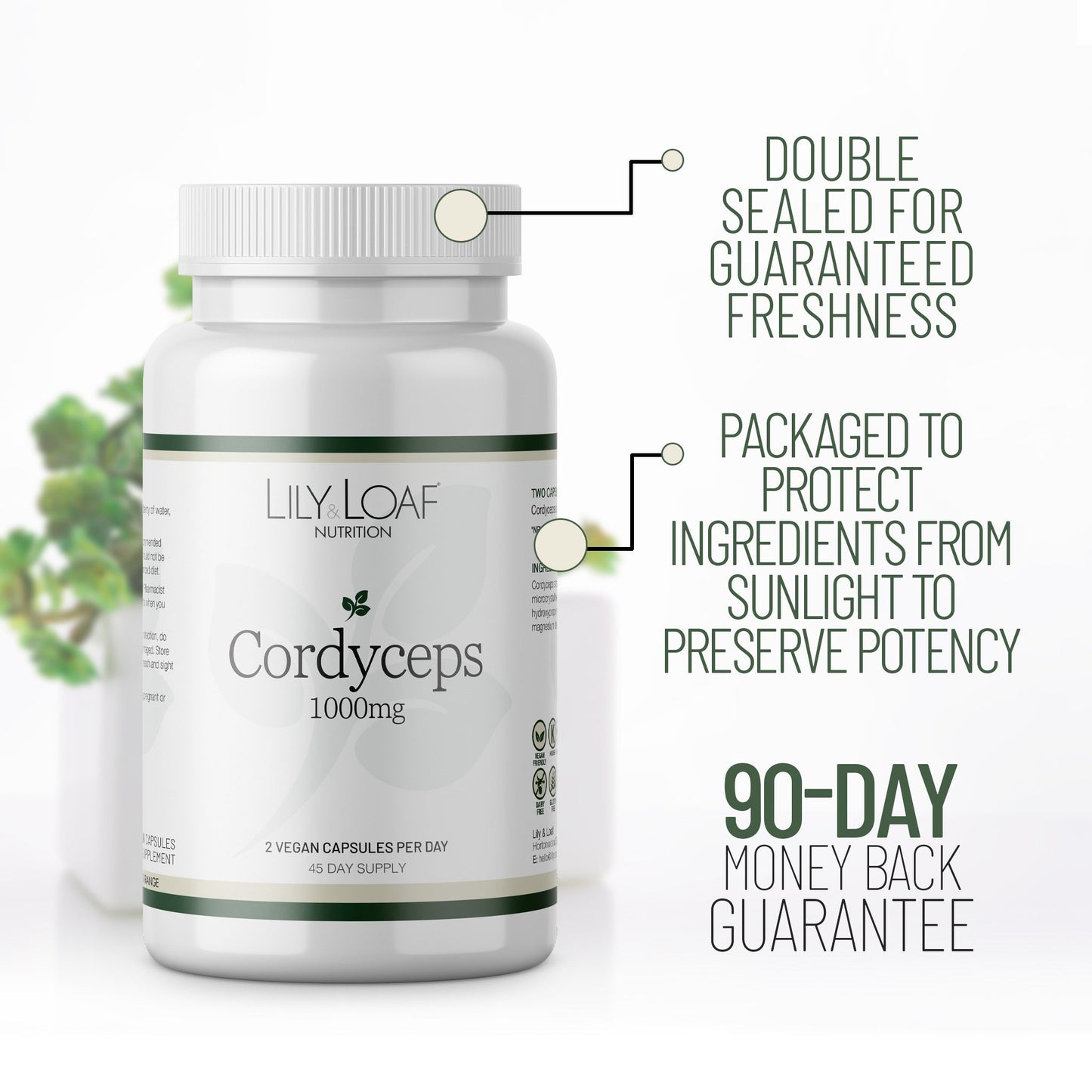 Cordyceps