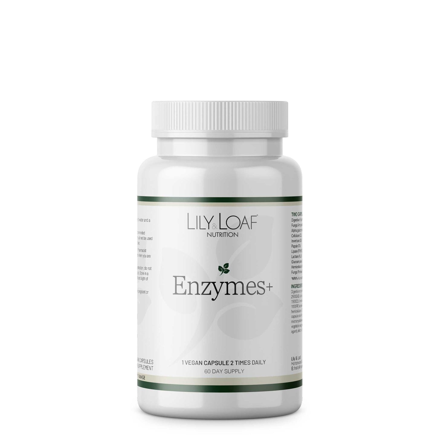 Enzymes +