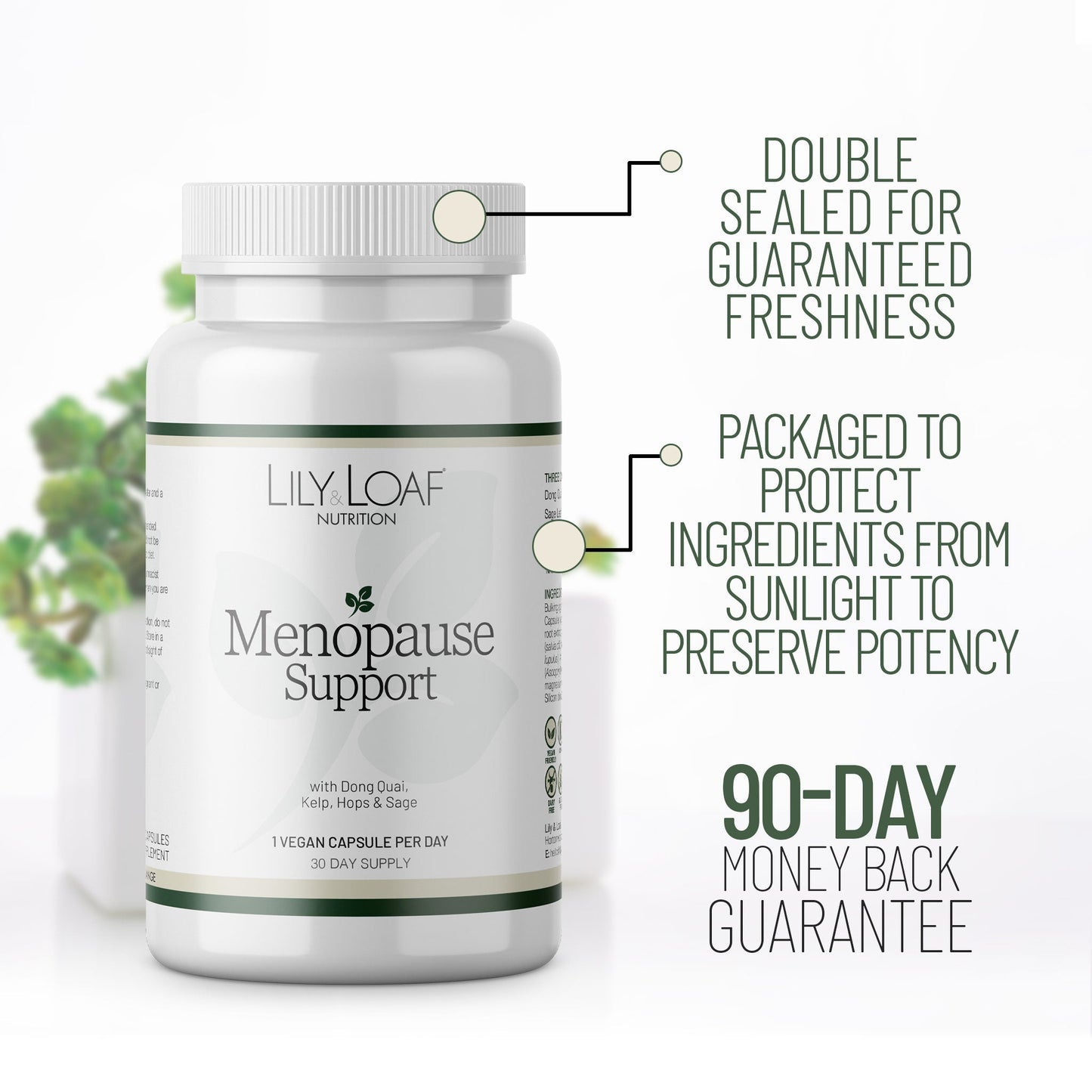 Menopause Support