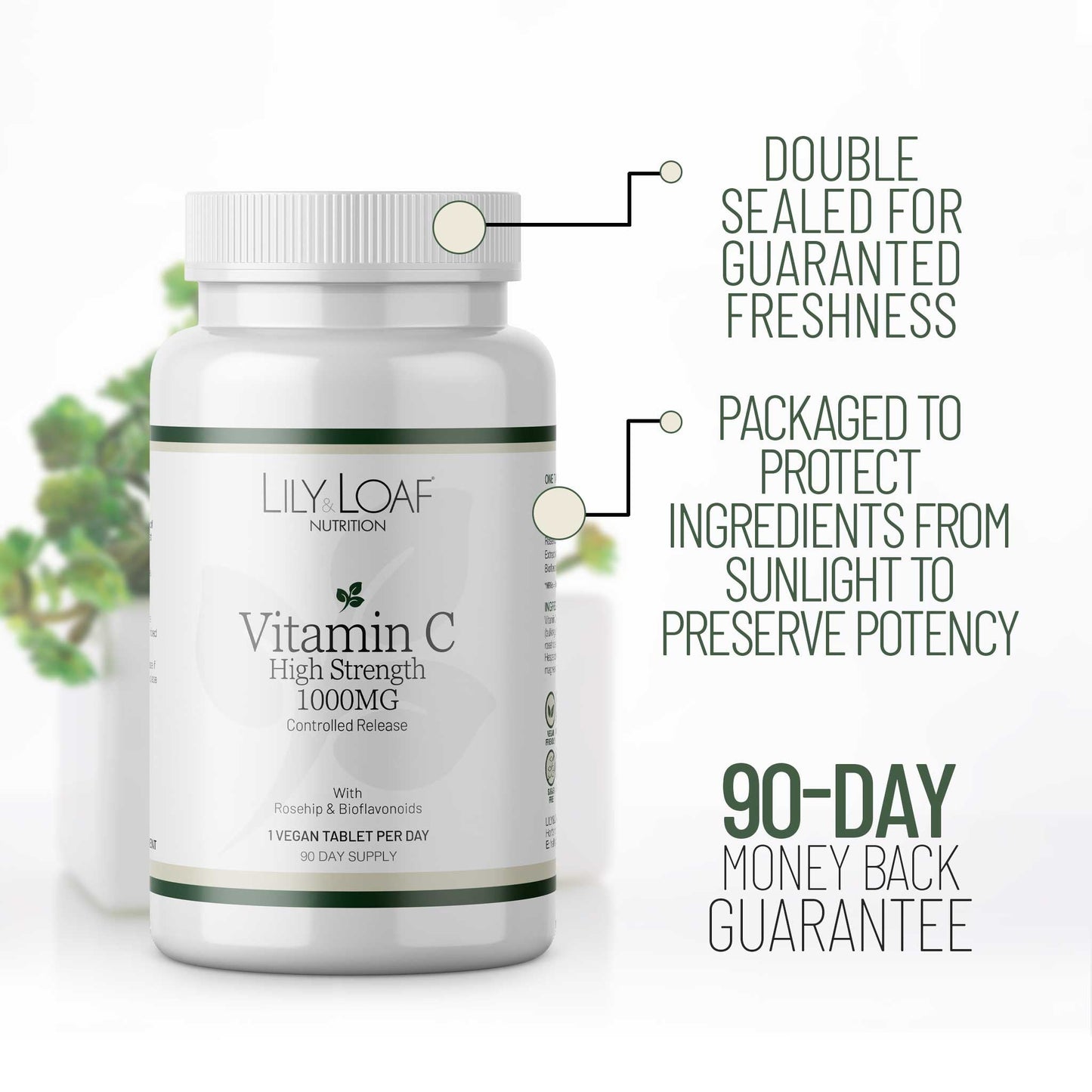 Vitamin C High Strength 1,000mg Controlled Release