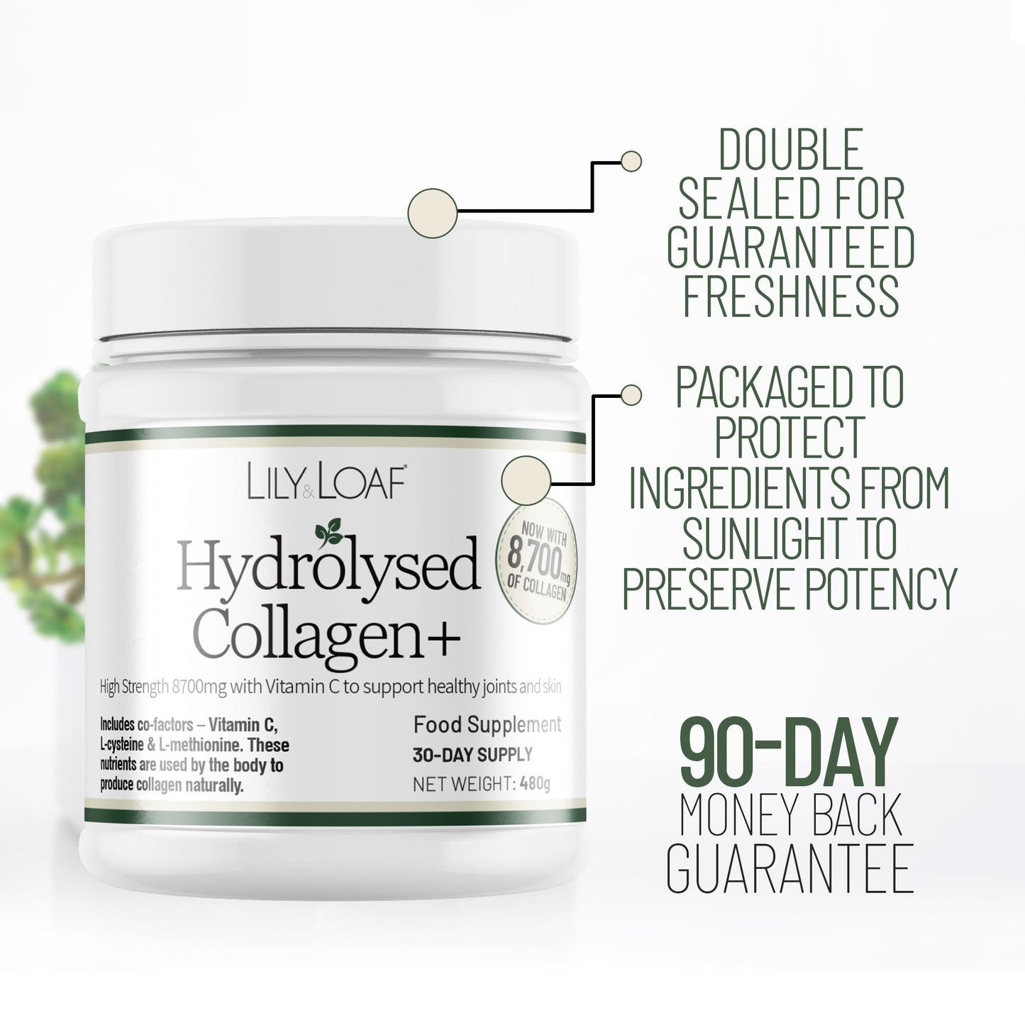 Hydrolysed Collagen + 8,700mg High Strength