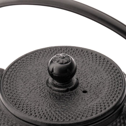 Jang Cast Iron Teapot