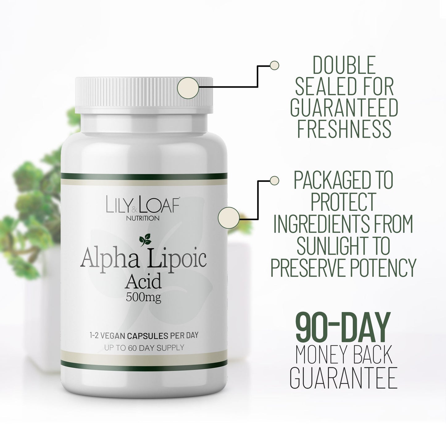 Alpha Lipoic Acid (ALA)