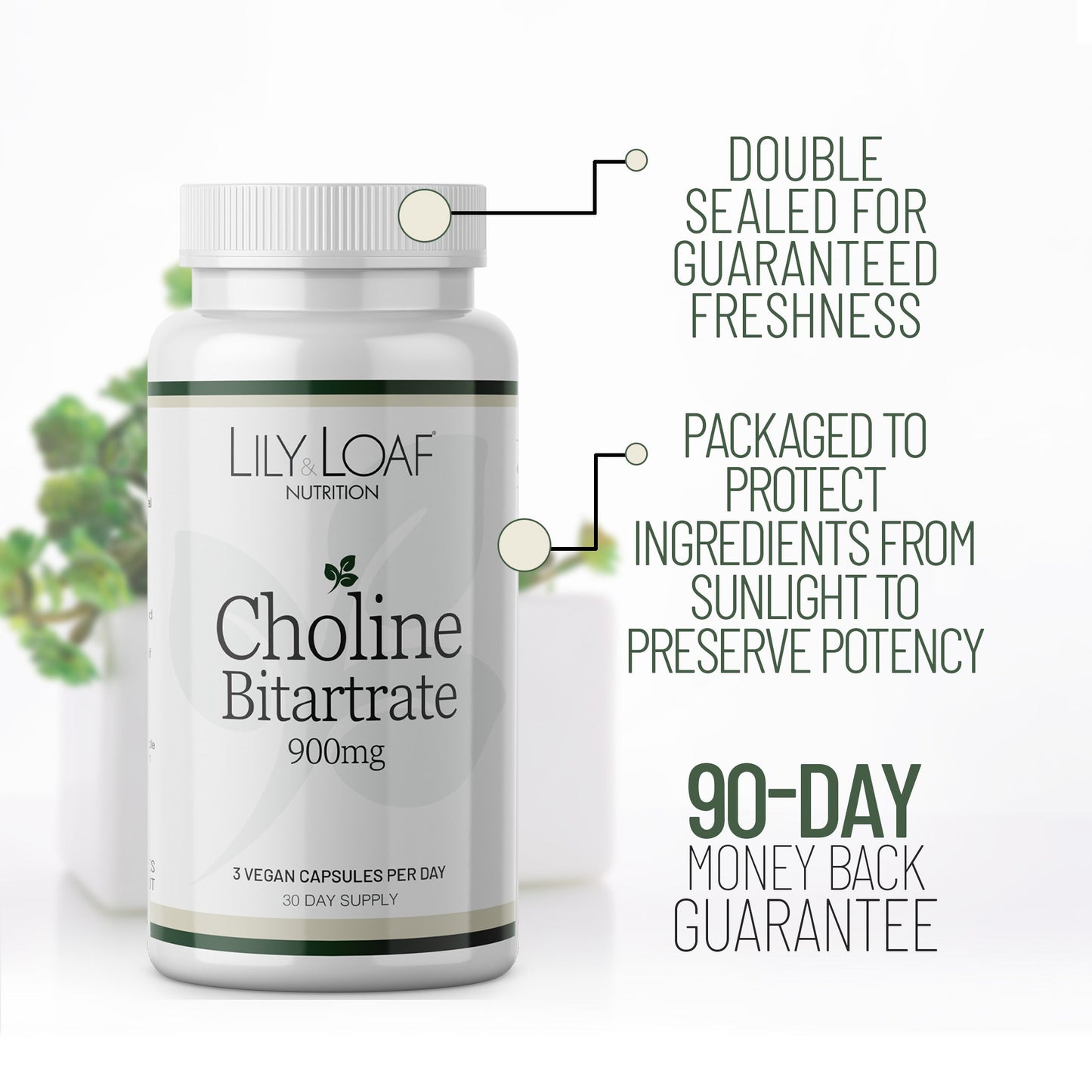 Choline Bitartrate