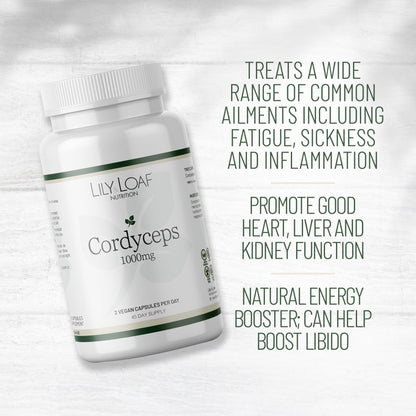 Cordyceps