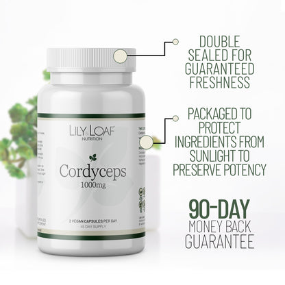 Cordyceps