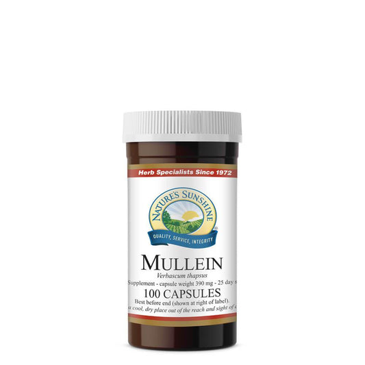 Mullein