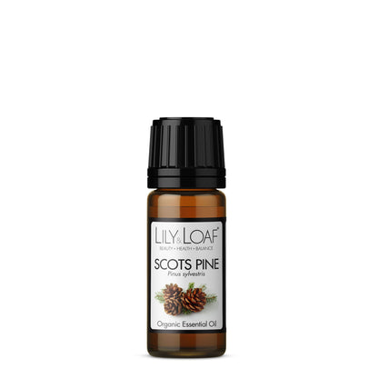 Scots Pine Organic Essential Oil