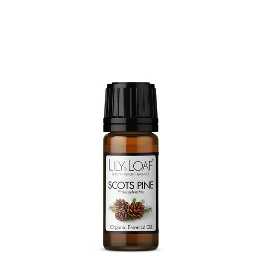 Scots Pine Organic Essential Oil