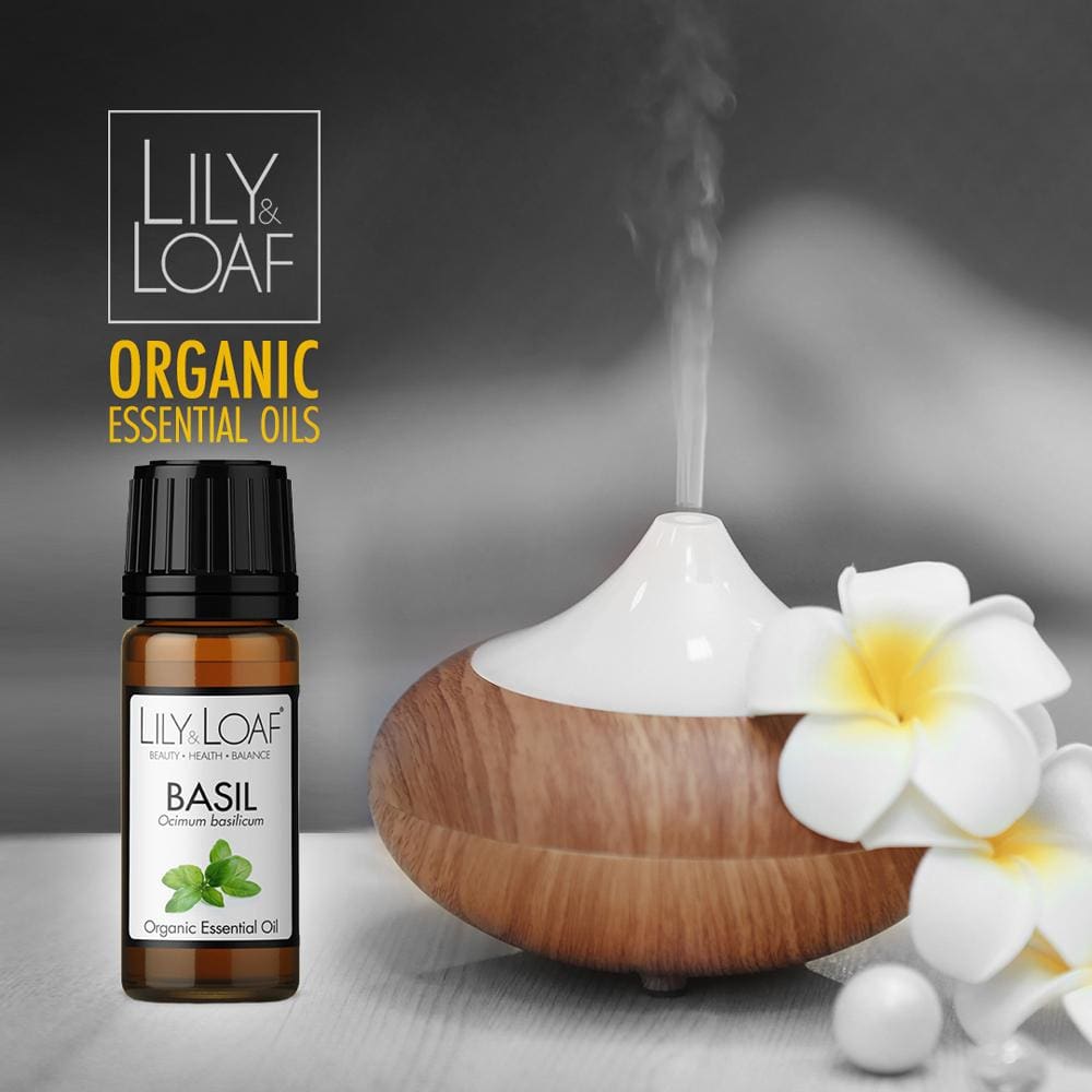 Lily and Loaf - Basil Organic Essential Oil (10ml) - Essential Oil