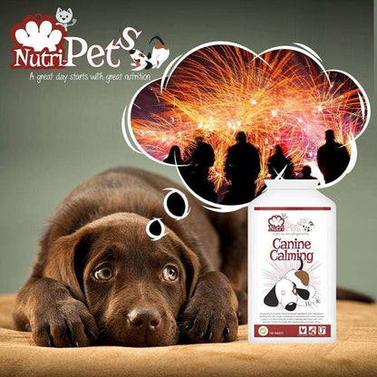 Nutri-Pets - Canine Calming - Tablet