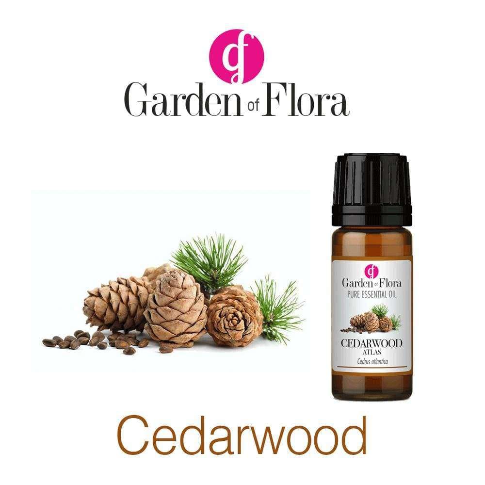 Garden of Flora - Cedarwood Atlas Pure Essential Oil 10ml - Essential Oil