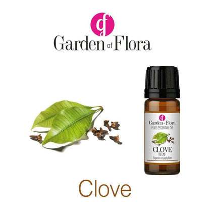 Garden of Flora - Clove Leaf Pure Essential Oil 10ml - Essential Oil