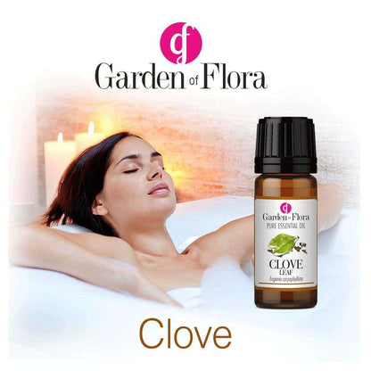 Garden of Flora - Clove Leaf Pure Essential Oil 10ml - Essential Oil