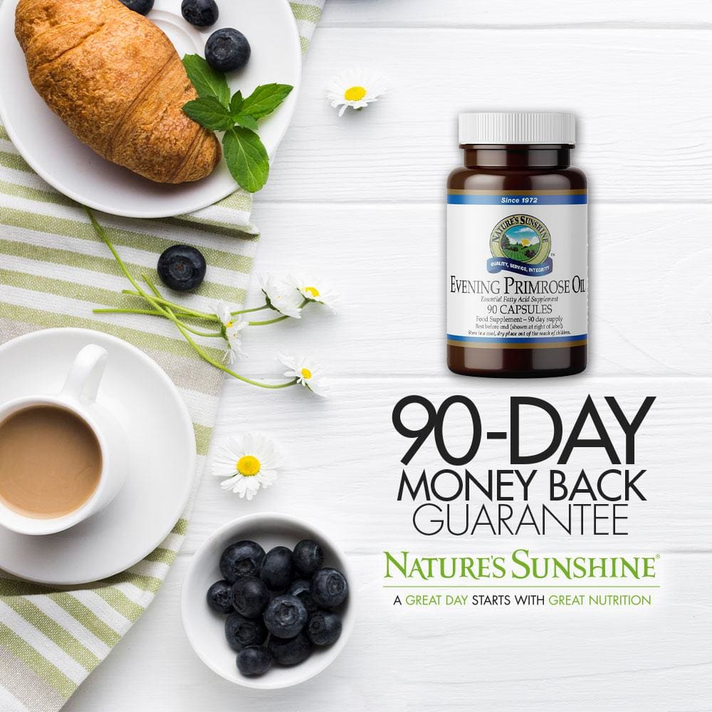 Nature’s Sunshine - Evening Primrose Oil (90 Softgel Capsules) - Softgel Capsule