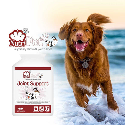 Nutri-Pets - Joint Support - Tablet