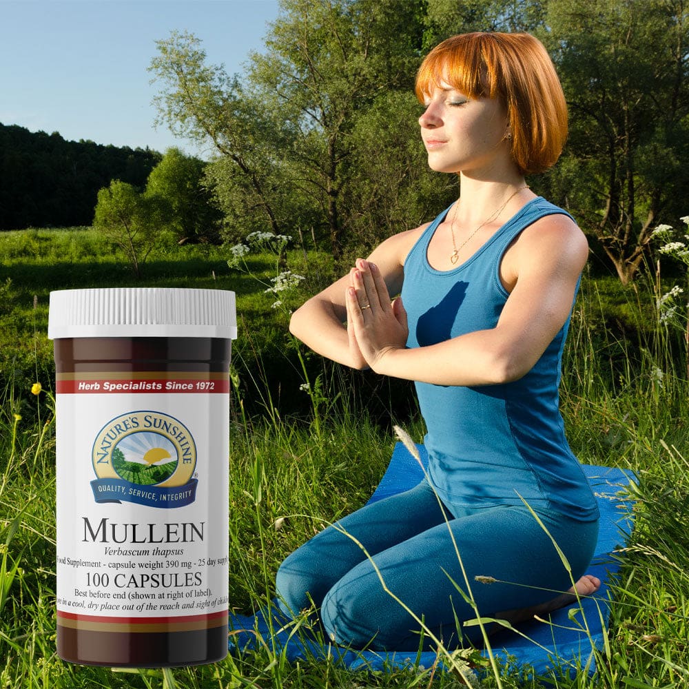 Nature’s Sunshine - Mullein (100 Capsules) - Capsule