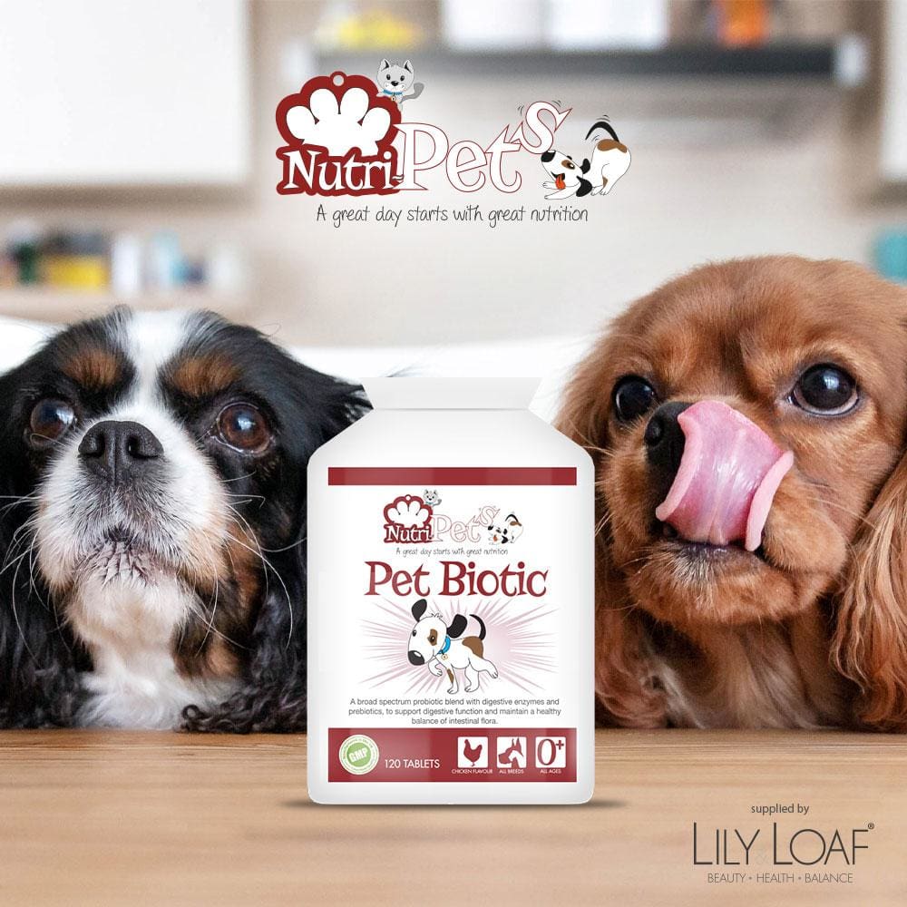 Nutri-Pets - Pet Biotic - Tablet